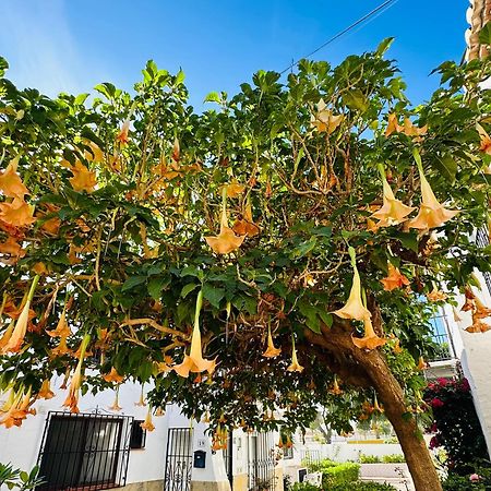 Right By The Pool Area In Capistrano Village! Nerja Bagian luar foto